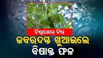 Schoolboy Force-Fed Poisonous Fruit By Fellow Students