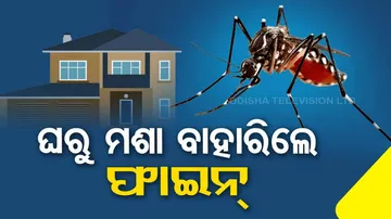 BMC To Impose Fine If Mosquitoes Found In House