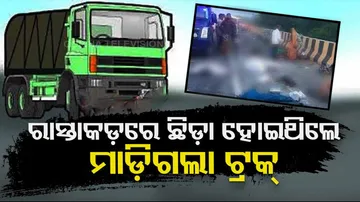 11 People Killed As Truck Runs Over Them While Waiting On Rajasthan Highway 