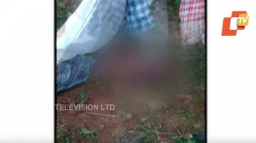 ହାତୀ ଆକ୍ରମଣରେ ଜଣଙ୍କ ମୃତ୍ୟୁ