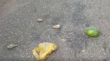 ରାସ୍ତାରେ ଚାଲିଗଲା ମାମୁ-ଭଣଜାଙ୍କ ଜୀବନ