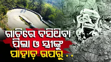Indian-Origin US Man Drives Tesla Off Cliff With Wife, 2 Children Inside