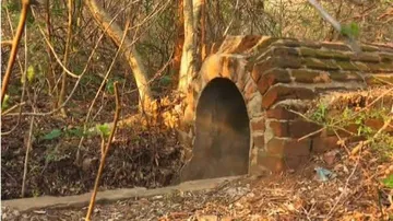 ଅବହେଳିତ ମୟୁରଭଞ୍ଜର ଅମର୍ଦ୍ଦା ଏୟାରଷ୍ଟ୍ରିପ