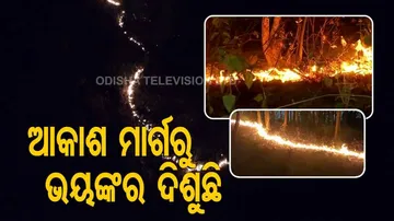 ମାଲକାନଗିରିରେ ଜଳୁଛି ଜଙ୍ଗଲ; ୧୦ଟି ପାହାଡ଼କୁ ବ୍ୟାପିଲାଣି ନିଆଁ