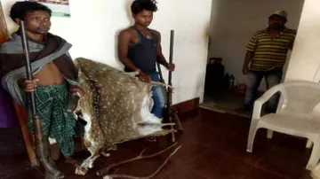 ହରିଣ ଛାଲ, ଶିଙ୍ଗ ଓ ବନ୍ଧୁକ ଜବତ: ୨ ଶିକାରୀ ଗିରଫ