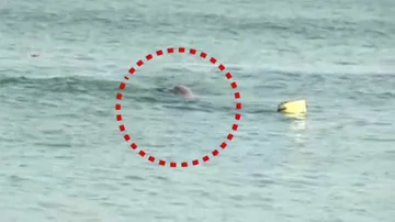 ପୁରୀ ବ୍ଲୁ ଫ୍ଲାଗ୍ ବିଚ୍‌ରେ ଭାସିଯାଇଥିବା ପର୍ଯ୍ୟଟକଙ୍କ ମୃତଦେହ ଉଦ୍ଧାର