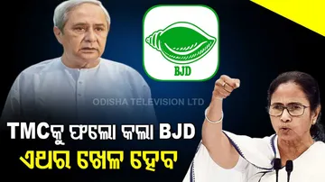 bjd 