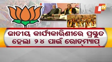 BJP Makes Blueprint for Mission 2024 in Odisha