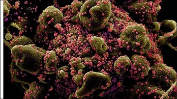 ରାଜ୍ୟରେ ପୁଣି ୪୪ ଜଣ କରୋନା ଆକ୍ରାନ୍ତଙ୍କ ମୃତ୍ୟୁ