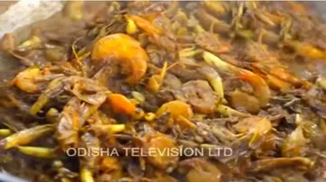 କଦଳୀ ଭଣ୍ଡା ଚୁଙ୍ଗୁଡ଼ି ମହୁର