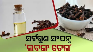 clove oil