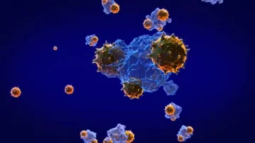 WHOର ସ୍ୱତନ୍ତ୍ର ପ୍ରତିନିଧିଙ୍କ ଚେତାବନୀ-ଲକ୍‌ଡାଉନ୍ ହଟିବା ପରେ ବଢ଼ିବ କରୋନା ସଂକ୍ରମଣ ହାର