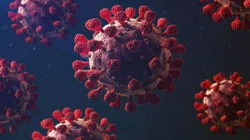 ଏଥର ଏହି ଜିଲ୍ଲାରୁ ସର୍ବାଧିକ କରୋନା ରୋଗୀ ସୁସ୍ଥ ହେଲେ