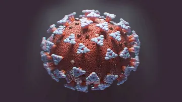 ଦେଶରେ ପୁଣି ୩ ହଜାର ଟପିଲା ମୃତକଙ୍କ ସଂଖ୍ୟା, ତୃତୀୟ ଲହର ଆସିବା ନେଇ ଆଶଙ୍କା