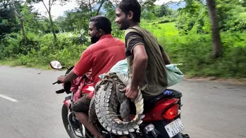 ବାଇକ୍‌ରେ କୁମ୍ଭୀର ନେବା ଘଟଣା, ଡେପୁଟି ରେଞ୍ଜର ସସପେଣ୍ଡ୍