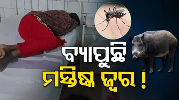 Mysterious Haemorrhage Fever Hits In Balasore