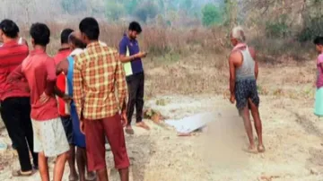 ମହୁଲ ଗୋଟାଇବାକୁ ଯାଇଥିଲେ ଦଳିଦେଲା ହାତୀ