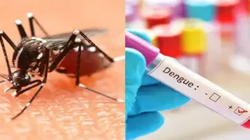 ଡେଙ୍ଗୁ ରୋଗୀ ଚିହ୍ନଟ ହେଲେ ସେହି ଅଞ୍ଚଳ ହେବ କଣ୍ଟେନ୍‌ମେଣ୍ଟ ଜୋନ୍‌