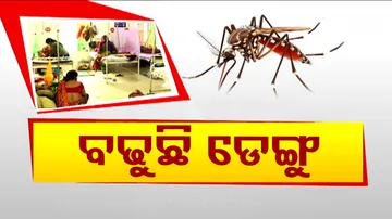 Dengue Cases In Odisha