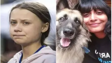 କ’ଣ ଥିଲା ଏହି ଟୁଲ୍‌କିଟ୍‌ରେ ଯାହାକୁ ନେଇ ବିବାଦରେ ଫସିଲେ ଦିଶା ରବି