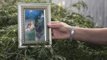 ପ୍ରଥମଥର କରୋନା ନେଲା କୁକୁର ଜୀବନ