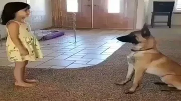 ଲକ୍‌ଡାଉନ୍‌ର ସାଥୀ, ଲୁଚକାଳି ଖେଳରେ ପାର୍ଟନର ହେଲା କୁକୁର