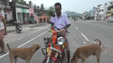 ବୁଲା କୁକୁରଙ୍କ ଅନ୍ନଦାତା : ମୋଚିରାମଙ୍କୁ ଦେଖିବା ମାତ୍ରେ ପାଖକୁ ଧାଇଁ ଆସନ୍ତି କୁକୁର ଦଳ