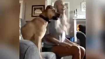 ଟିଭିରେ ଖେଳ ଦେଖିବା ସମୟରେ ଏମିତି ମଜ୍ଜି ଯାଇଥିଲା କୁକୁର, ଆଉ ତା’ପରେ...