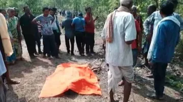 ହାତୀ ଆକ୍ରମଣରେ ୩ଜଣଙ୍କ ମୃତ୍ୟୁ