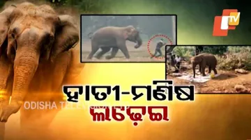 ହାତୀ - ମଣିଷ ଲଢ଼େଇ