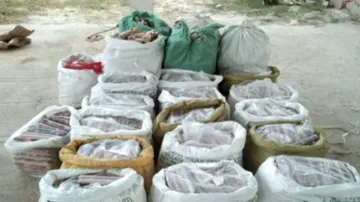 ଗୋଦାମରୁ ବହୁ ପରିମାଣର ବିସ୍ଫୋରକ ଜବତ