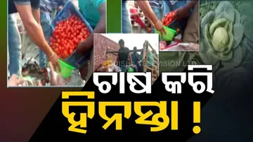 ବଜାରରେ ବିକ୍ରି ହେଲା ନାହିଁ, ବଜାରରେ ମାଗଣାରେ ଲୋକଙ୍କୁ ପରିବା ବାଣ୍ଟିଦେଲା ଚାଷୀ