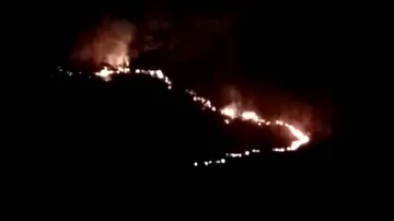 ହୁତୁ ହୁତୁ ହୋଇ ଜଳୁଛି ଜଙ୍ଗଲ