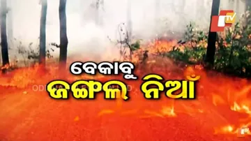 ସପ୍ତାହେରୁ ଅଧିକ ସମୟ ଧରି ଜଳୁଛି ଏସିଆର ଦ୍ୱିତୀୟ ବୃହତ୍ ଜୈବମଣ୍ଡଳ ଶିମିଳିପାଳ; ରାଜକୁମାରୀଙ୍କ ଠାରୁ ରାଜ ନେତା ସମସ୍ତେ ଚିନ୍ତାରେ