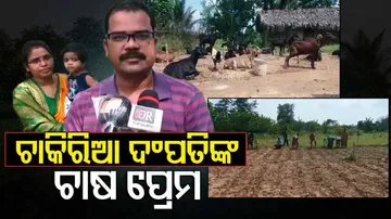 ଚାକିରିଆ ଦମ୍ପତିଙ୍କୁ ଘାରିଛି ଚାଷ ନିଶା