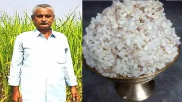 ମ୍ୟାଜିକ୍‌ ଚାଉଳ ଚାଷ କରନ୍ତି ଏହି ଚାଷୀ, ଥଣ୍ଡା ପାଣିରେ ପକେଇଲେ ହୋଇଯିବ ଭାତ