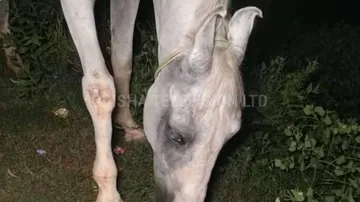 ସରିଗଲା ସ୍ଵାର୍ଥ..ହଜିଗଲା ମାନବିକତା : କାମ ଶେଷ ପରେ ପର କରିଦେଲା ମାଲିକ, ରାସ୍ତା କଡ଼ରେ କଟୁଛି ଦିନ . . .