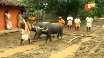 News Fuse 17 September 2014