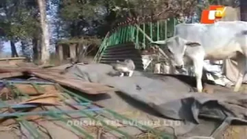 News Fuse 03 March2014