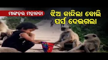 News Fuse- Flashback 2021 | Watch Special Entertaining Visuals