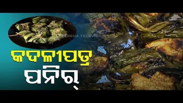 Taste Of Odisha- Know The Recipe Of Kadalipatra Paneer (Banana Leaf Cottage Cheese)