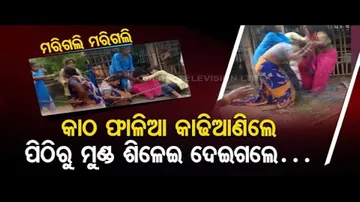 News Fuse- Women Lock Horns, Engage In Intense Fight