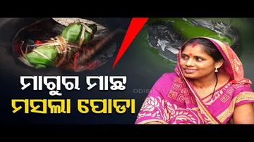Taste of Odisha- Know The Recipe Of Walking Cat (Magur) Fish Masala Roast