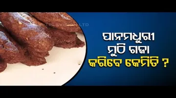Taste of Odisha | Recipe of Panmadhuri muthi gaja