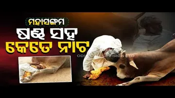 News Fuse | This man, Ox\'s friendship is a treat to watch