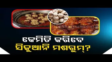 Taste of Odisha - Know the recipe of Schezwan Mushroom