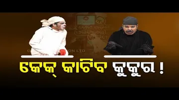 The Great Odisha Political Circus- Odisha has 2nd highest stray dogs in India