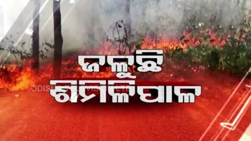 ନିଆଁଲିଭା କାର୍ଯ୍ୟରେ ଲାଗିଛନ୍ତି ୧ ହଜାରରୁ ଊର୍ଦ୍ଧ୍ୱ କର୍ମଚାରୀ