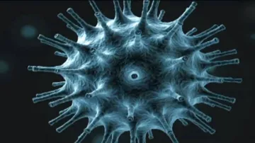 ଓଡ଼ିଶାରେ ନାହିଁ ‘କରୋନା’ ଭୟ