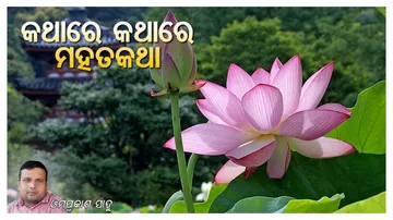 କି ନିଷ୍ଠୁର! ବିନା ଦୋଷରେ ‘ମିଠି’କୁ ପିଟି ପିଟି ମାରିଦେଲେ